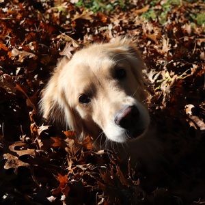 Meet your Posher, Meagan